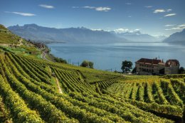 &copy; R. Mareel-shutterstock.com/2013