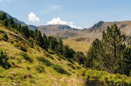 &copy; Dieter Decroos - stock.adobe.com