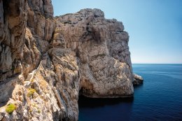 &copy; cameris-stock.adobe.com